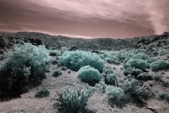 INFRARED_ANZA_BORREGO_OCT_27_2019_695-60_FINAL_03S