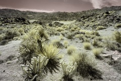 INFRARED_ANZA_BORREGO_OCT_27_2019_695-66_FINAL_08S