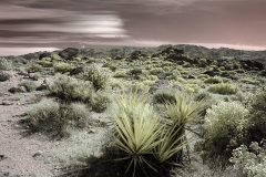 INFRARED_ANZA_BORREGO_OCT_27_2019_695-76_FINAL_08S