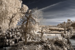 INFRARED_BALBOA_PARK_SANTEE_LAKE_695_DEC_02_2018-93_FINAL_06