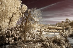 INFRARED_BALBOA_PARK_SANTEE_LAKE_695_DEC_02_2018-93_FINAL_07