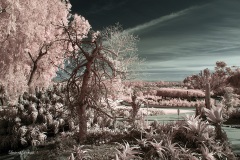 INFRARED_BALBOA_PARK_SANTEE_LAKE_695_DEC_02_2018-93_FINAL_10