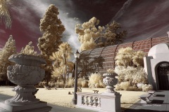 INFRARED_BALBOA_PARK_OCT28_2018_695-32_FINAL_02