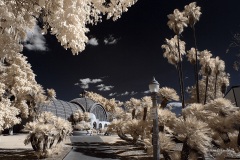 INFRARED_BALBOA_PARK_SANTEE_LAKE_695_DEC_02_2018-63_FINAL_06