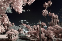 INFRARED_BALBOA_PARK_SANTEE_LAKE_695_DEC_02_2018-63_FINAL_10