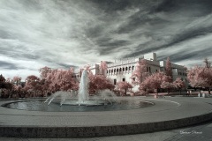 INFRARED_BALBOA_PARK_OCT28_2018_695-11_FINAL_01