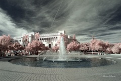 INFRARED_BALBOA_PARK_OCT28_2018_695-15_FINAL_01