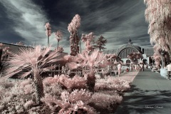 INFRARED_BALBOA_PARK_OCT28_2018_695-22_FINAL_01