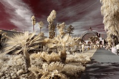 INFRARED_BALBOA_PARK_OCT28_2018_695-22_FINAL_02