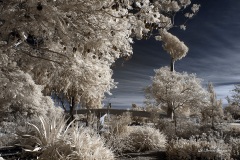 INFRARED_BALBOA_PARK_SANTEE_LAKE_695_DEC_02_2018-102_FINAL_06