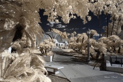 INFRARED_BALBOA_PARK_SANTEE_LAKE_695_DEC_02_2018-65_FINAL_06