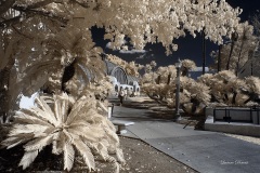 INFRARED_BALBOA_PARK_SANTEE_LAKE_695_DEC_02_2018-68_FINAL_06