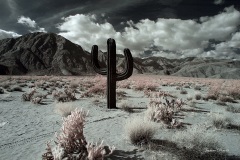 INFRARED_ANZA_BORREGO_695_DEC_01_2018-74_FINAL_01