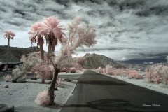 INFRARED_ANZA_BORREGO_OCT_06_2018_100-53_FINAL_0