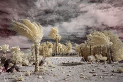 INFRARED_ANZA_BORREGO_OCT_06_2018_100-74_FINAL_05