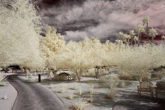 INFRARED_ANZA_BORREGO_OCT_06_2018_100-83_FINAL_05