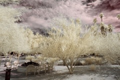 INFRARED_ANZA_BORREGO_OCT_06_2018_100-87_FINAL_05