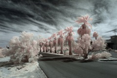 INFRARED_ANZA_BORREGO_OCT_06_2018_100-35_FINAL_0