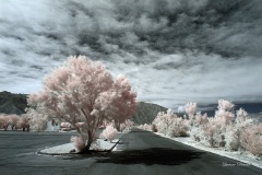 INFRARED_ANZA_BORREGO_OCT_06_2018_100-39_FINAL_0