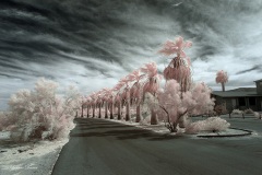 INFRARED_ANZA_BORREGO_OCT_06_2018_100-46_FINAL_0