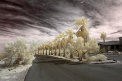 INFRARED_ANZA_BORREGO_OCT_06_2018_100-46_FINAL_05