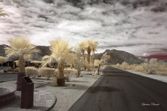 INFRARED_ANZA_BORREGO_OCT_06_2018_100-51_FINAL_05