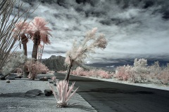 INFRARED_ANZA_BORREGO_OCT_06_2018_100-52_FINAL_0