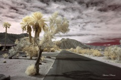 INFRARED_ANZA_BORREGO_OCT_06_2018_100-53_FINAL_05