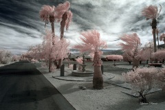 INFRARED_ANZA_BORREGO_OCT_06_2018_100-57_FINAL_0