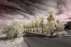 INFRARED_ANZA_BORREGO_OCT_06_2018_100-35_FINAL_05