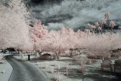 INFRARED_ANZA_BORREGO_OCT_06_2018_100-83_FINAL_0