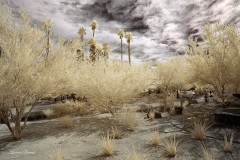 INFRARED_ANZA_BORREGO_OCT_06_2018_100-88_FINAL_05