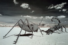 INFRARED_ANZA_BORREGO_695_DEC_01_2018-21_FINAL_01