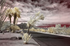 INFRARED_ANZA_BORREGO_OCT_06_2018_100-52_FINAL_05