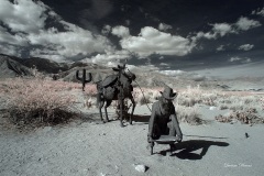 INFRARED_ANZA_BORREGO_695_DEC_01_2018-77_FINAL_01