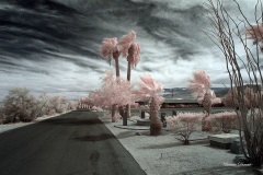 INFRARED_ANZA_BORREGO_OCT_06_2018_100-54_FINAL_0