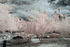 INFRARED_ANZA_BORREGO_OCT_06_2018_100-87_FINAL_0