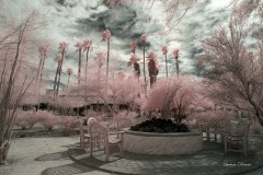 INFRARED_ANZA_BORREGO_OCT_06_2018_100-90_FINAL_0