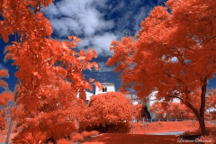 San Diego State University