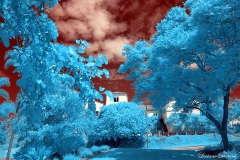 San Diego State University