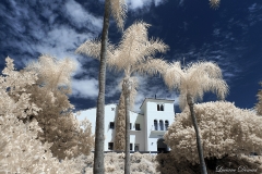 San Diego State University