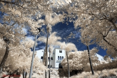 San Diego State University