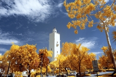 San Diego State University