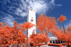 San Diego State University