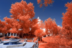 San Diego State University