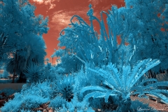 San Diego State University