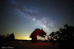 Anza-Borrego Desert