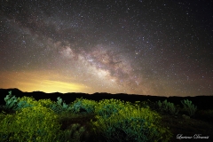 Anza-Borrego Desert