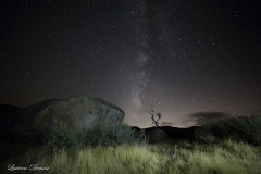 Anza-Borrego Desert