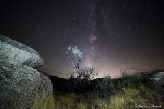 Anza-Borrego Desert